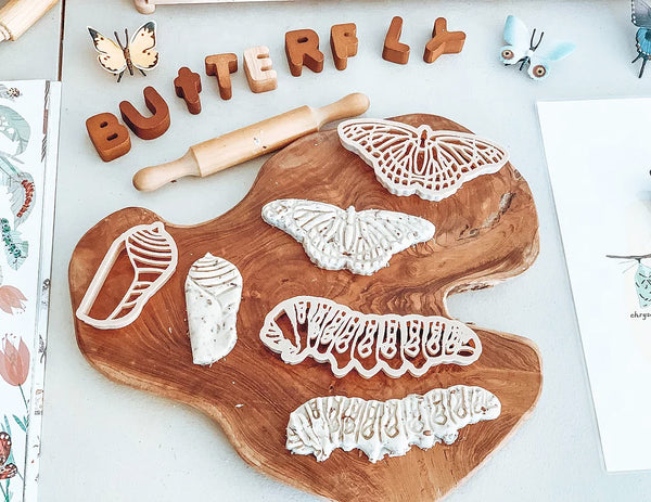 Monarch Butterfly Lifecycle Eco Cutter Set