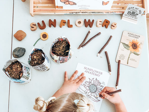 Sunflower Anatomy Resource Pack